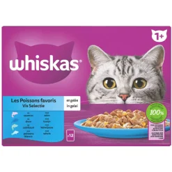 Whiskas 1+ Vis Selectie In Gelei Maaltijdzakjes Multipack - Kattenvoer - Vis Gelei 24x85 g