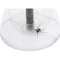 Wildbird Bugaway - Vergrootglas - 72x18 cm