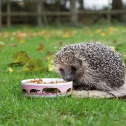 Wildbird Egelschaal Myrte - Voerbak - Wit