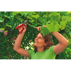 Wolf-Garten Snoeischaar Aambeeld Rs 2500 - Boom&Struikverzorging -