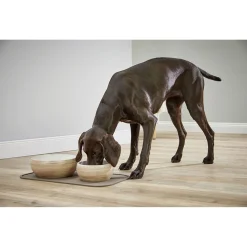 Wolters Diner Stone Bowl Bruin - Hondenvoerbak