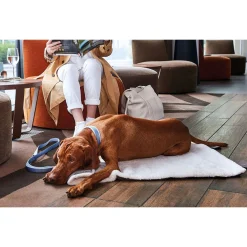 Wolters Vagabund Travel Blanket - Hondendeken - 100x70 cm Mosgroen