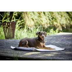 Wolters Vagabund Travel Blanket - Hondendeken - 100x70 cm Mosgroen