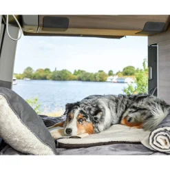 Wolters Vagabund Travel Blanket - Hondendeken - 100x70 cm Grijs