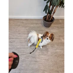 Wooff Riemlabel In Training - Hondensport - 17x7 cm Geel