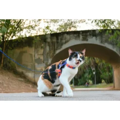 Zee.Dog Atlanta Verstelbare Mesh Harnas - Hondentuig