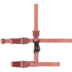 Zee.Dog Canyon Harnas + Lijn - Kattenharnas - Lichtroze per set 20-30x1.0 Cm