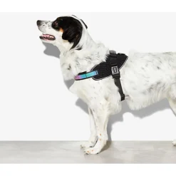 Zee.Dog Flyharnass Gotham Zwart - Hondenharnas