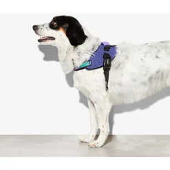Zee.Dog Flyharnass Wicked Paars&Zwart - Hondenharnas