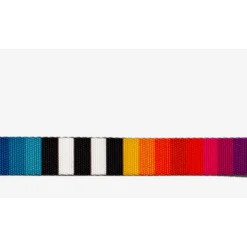 Zee.Dog Prisma Kattenhalsband - Kattenhalsband - Multi-Color 20-30x1.0 Cm