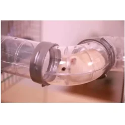 Zolux Connectionkit Buizen Panas - Dierenverblijf - Ø6.5x21 cm Grijs Transparant