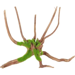 Zolux Groeiend Decor Spider Root - Aquarium - Ornament