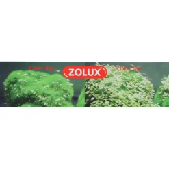 Zolux Groeiend Decor Totemhoofd - Aquarium - Ornament - 4.5x4.5x7.9 cm