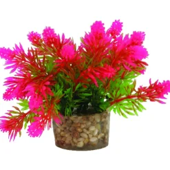 Zolux Kunstplanten Op Grind - Aquarium - Kunstplant - Assorti per stuk Small