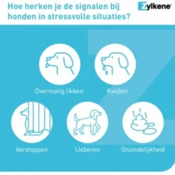 Zylkene Capsule 450 Mg - Anti stressmiddel - 450 mg 30 caps Voor Grote Honden (15-60 Kg)