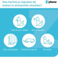 Zylkene Capsule 75 Mg - Anti stressmiddel - 75 mg 30 caps Voor Katten En Kleine Honden (< 10 Kg)